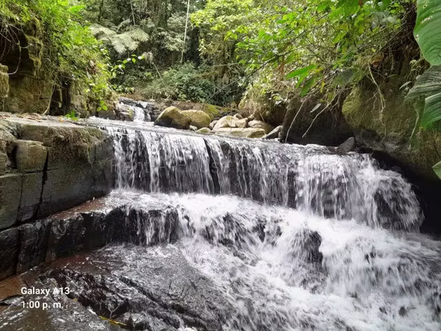 Venta de Finca en Peréz Zeledón-Páramo.  - Imagen 2
