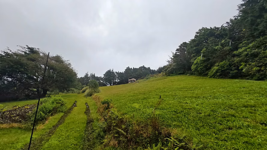 SE VENDE FINCA Y CASA  DE MONTAÑA EN CONCEPCION DE SAN ISIDRO DE HERERIA 
