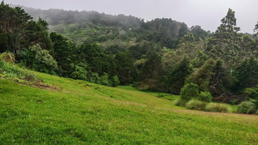 SE VENDE FINCA Y CASA  DE MONTAÑA EN CONCEPCION DE SAN ISIDRO DE HERERIA 