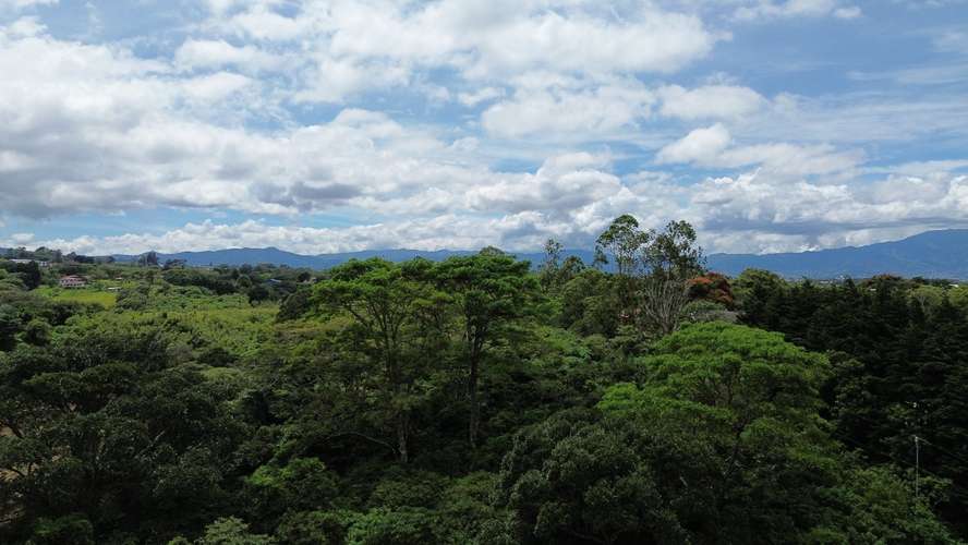 Venta de amplio terreno en San Isidro de Heredia. - Imagen 8