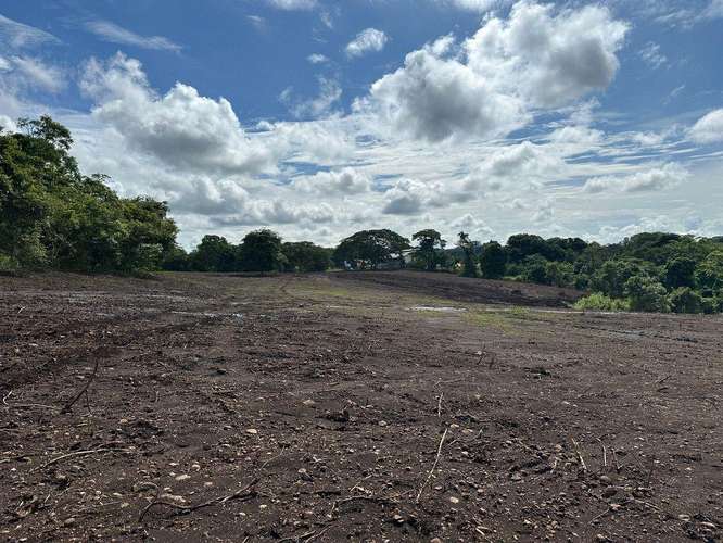  TERRENO DE USO MIXTO EN VENTA, LA CEIBA, OROTINA  - Imagen 8