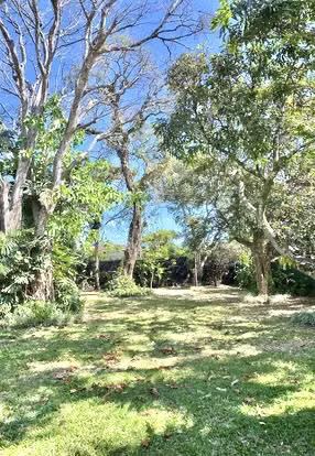 Escazú Hermosa Casa en Alquiler de USO COMERCIAL Amplio Jardín  - Imagen 13