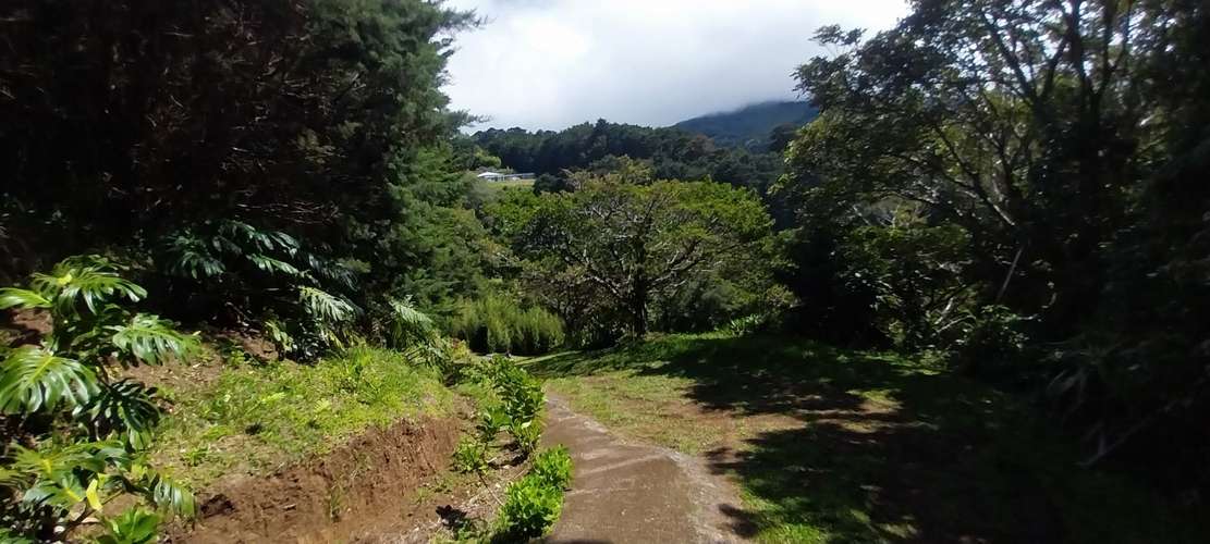 Propiedad tipo quinta, Concepcion de San Rafael de Heredia, 8,227 mtrs2 - Imagen 9