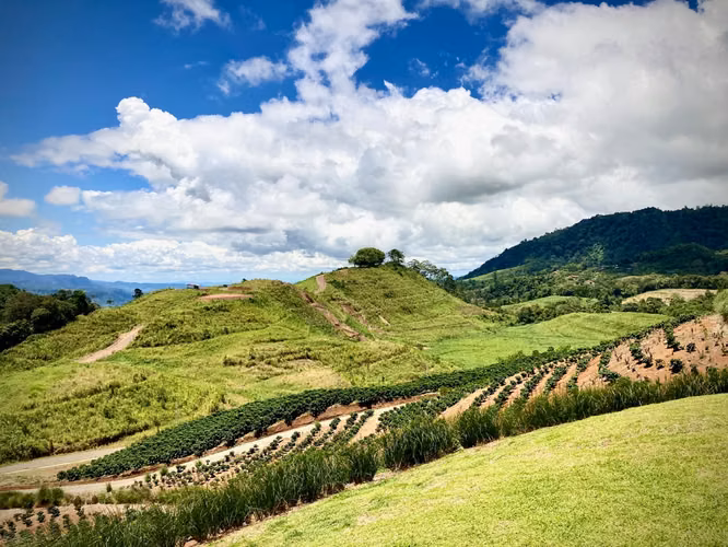 Casa en Venta en Turrialba, Impresionante vista al Volcán, Llave en mano. - Imagen 18