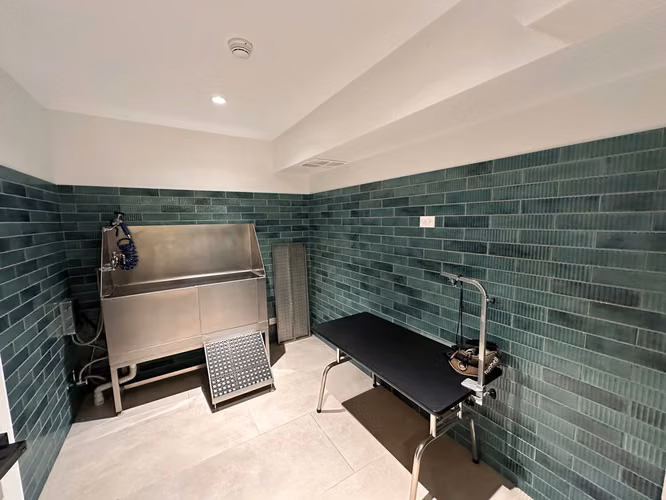 Apartamento en alquiler, en condominio Parkwood, con linea blanca incluida. Nunciatura, San Jose.  - Imagen 16