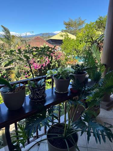 Residencia con Apto Independiente en Altos las Palomas | 1.047 m² | Santa Ana - Imagen 7