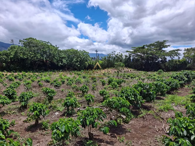 4.8 ha - PLANO for Segregate, Develop, or Mixed Projects - Imagen 3