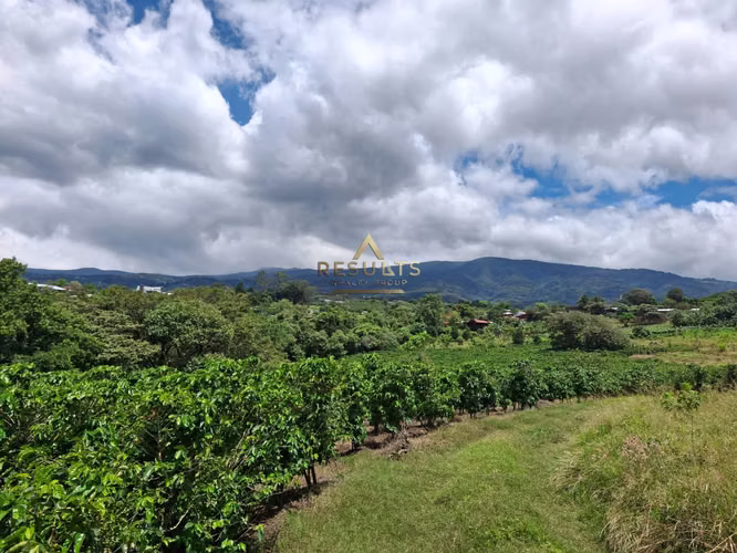 4.8 ha - PLANO for Segregate, Develop, or Mixed Projects - Imagen 4