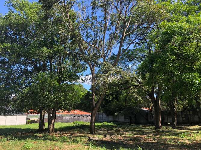 Venta de lote con uso de suelo mixto, Ciudad Colón, San José, 3961 - Imagen 9