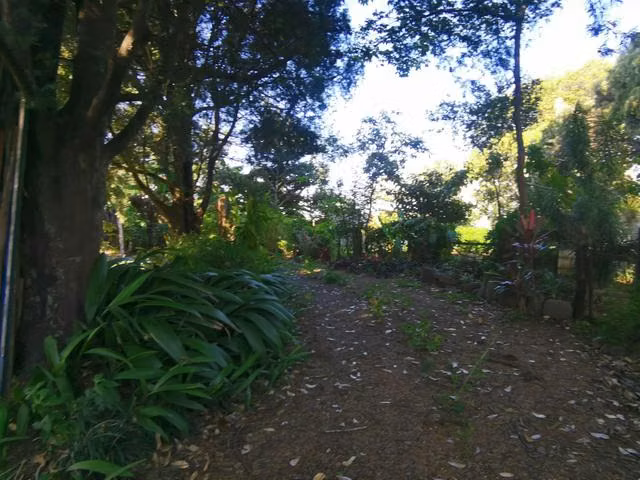SE VENDE TERRENO PARA DESARROLLO DE CONDOMINO - Imagen 10