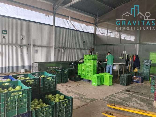 Venta de Planta empacadora en Ujarrás Cartago ID 2065 - Imagen 9