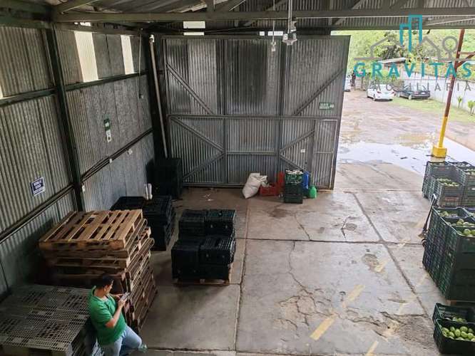 Venta de Planta empacadora en Ujarrás Cartago ID 2065 - Imagen 13