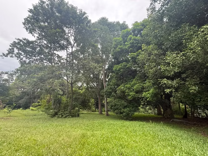Lote en Venta en Orotina | 1.370 m² | Excelente Ubicación - Imagen 9