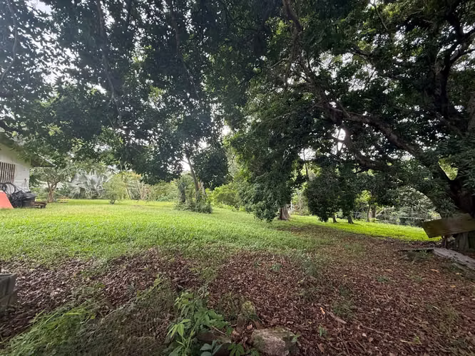 Lote en Venta en Orotina | 1.370 m² | Excelente Ubicación - Imagen 10