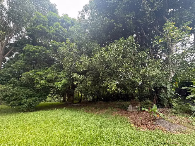 Lote en Venta en Orotina | 1.370 m² | Excelente Ubicación - Imagen 12