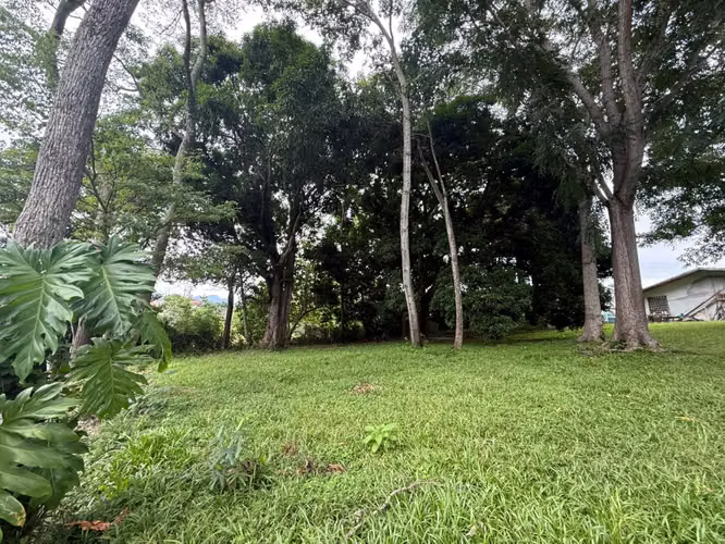 Lote en Venta en Orotina | 1.370 m² | Excelente Ubicación - Imagen 4