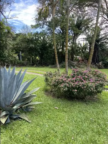 ALQUILER CASA EN HEREDIA SAN RAFAEL LOS ANGELES CON OFICINA - Imagen 3