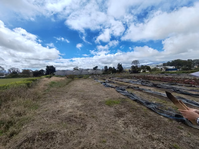 TERRENO COMERCIAL–INDUSTRIAL EN VENTA | DULCE NOMBRE, CARTAGO - Imagen 4
