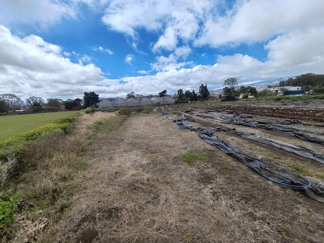 TERRENO COMERCIAL–INDUSTRIAL EN VENTA | DULCE NOMBRE, CARTAGO - Imagen 5