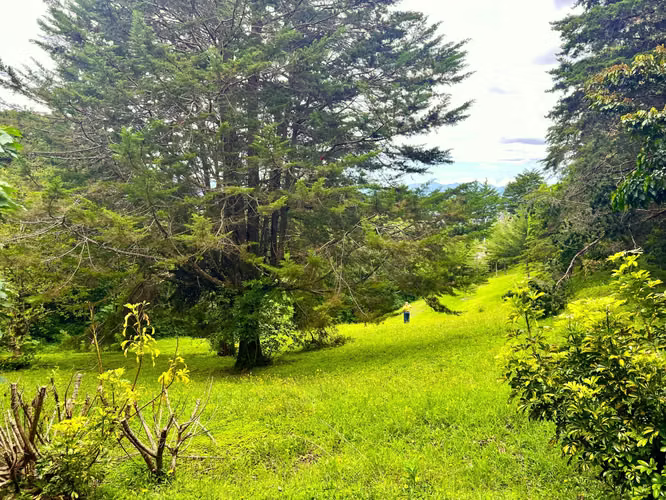 Venta Casa rodeada de bosque 6000 m², Santa Bárbara de Heredia (PA) - Imagen 2