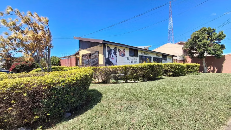 Zapote Opc Prime - Imagen 5