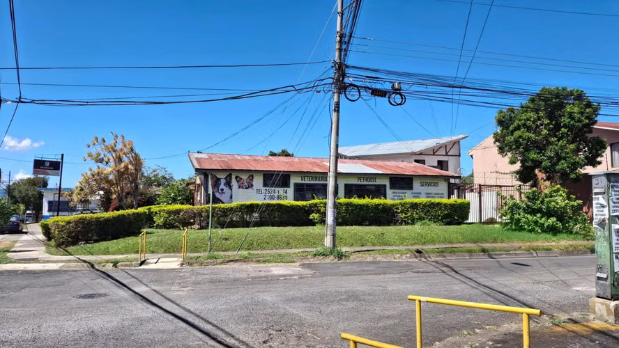 Zapote Opc Prime - Imagen 4