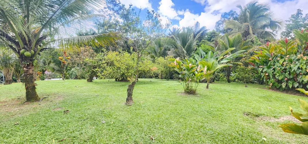 EXCLUSIVA QUINTA CON JARDÍN TROPICAL Y QUEBRADA - FINANCIAMIENTO DIRECTO DISPONIBLE! - Imagen 6