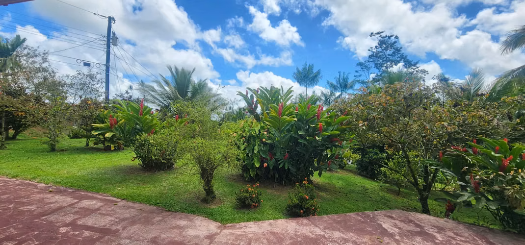 EXCLUSIVA QUINTA CON JARDÍN TROPICAL Y QUEBRADA - FINANCIAMIENTO DIRECTO DISPONIBLE! - Imagen 4