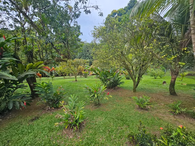 EXCLUSIVA QUINTA CON JARDÍN TROPICAL Y QUEBRADA - FINANCIAMIENTO DIRECTO DISPONIBLE! - Imagen 18