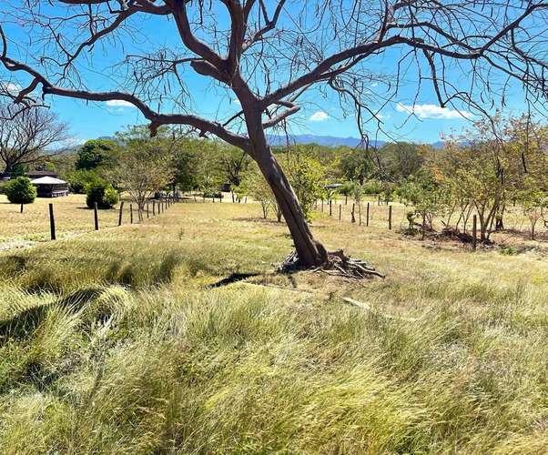 Venta de gran inversión de terreno Listo para Construir - Imagen 9