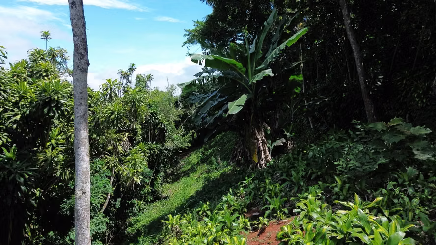VENTA DE LOTE, CON VISTA, LA CIMA DE SAN RAMÓN, ALAJUELA - Imagen 6