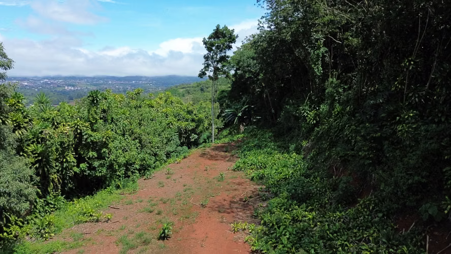 VENTA DE LOTE, CON VISTA, LA CIMA DE SAN RAMÓN, ALAJUELA - Imagen 5