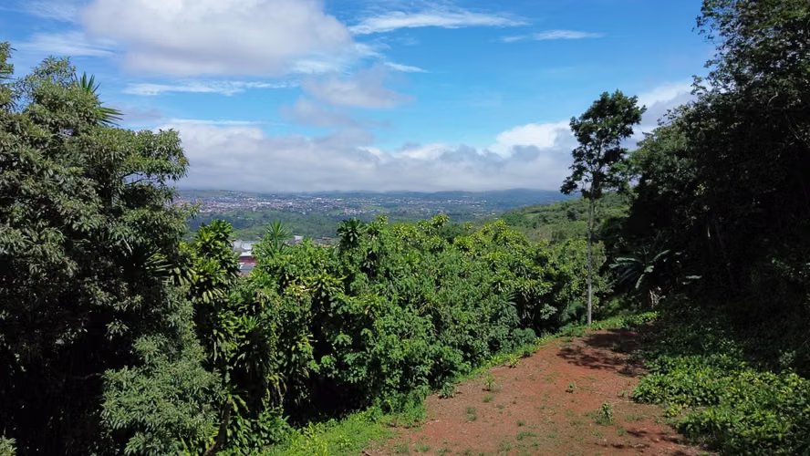 VENTA DE LOTE, CON VISTA, LA CIMA DE SAN RAMÓN, ALAJUELA - Imagen 2