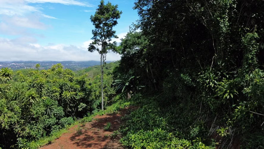 VENTA DE LOTE, CON VISTA, LA CIMA DE SAN RAMÓN, ALAJUELA - Imagen 8
