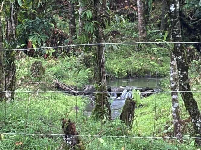 Venta de Finca con Casa, La Alegría, Siquirres.  6151