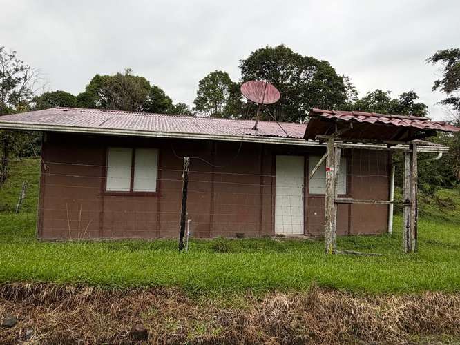 Venta de Finca con Casa, La Alegría, Siquirres.  6151 - Imagen 10