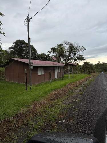 Venta de Finca con Casa, La Alegría, Siquirres.  6151 - Imagen 9