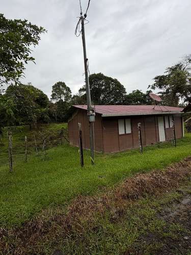 Venta de Finca con Casa, La Alegría, Siquirres.  6151 - Imagen 8