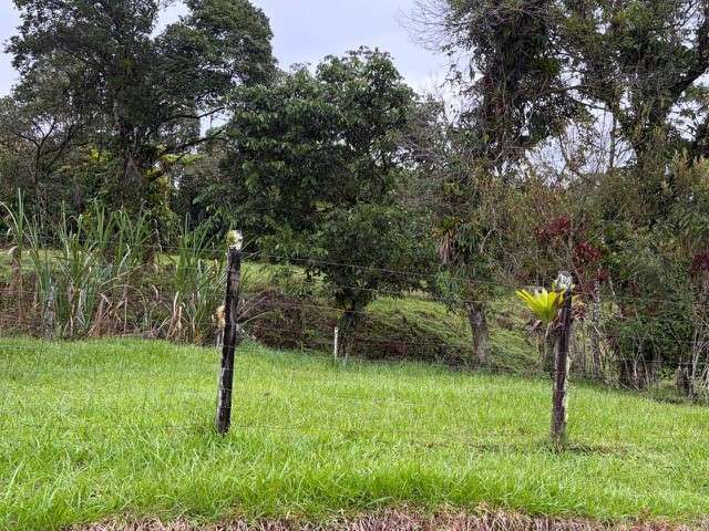 Venta de Finca con Casa, La Alegría, Siquirres.  6151 - Imagen 11