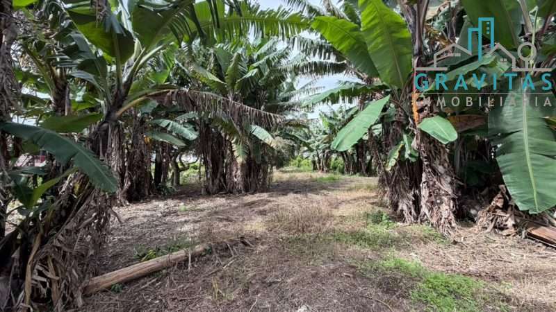 Venta de terreno comercial en Coronado, 9177m2 ID 2067 - Imagen 10