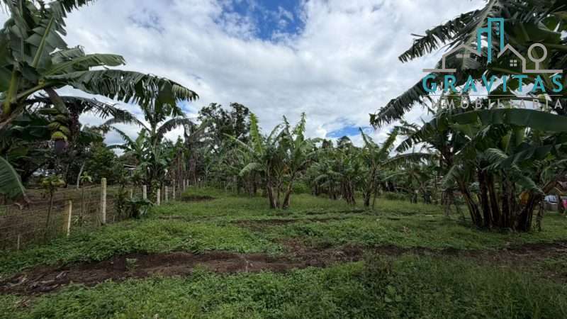 Commercial land sale in Coronado, 9177m2 ID 2067