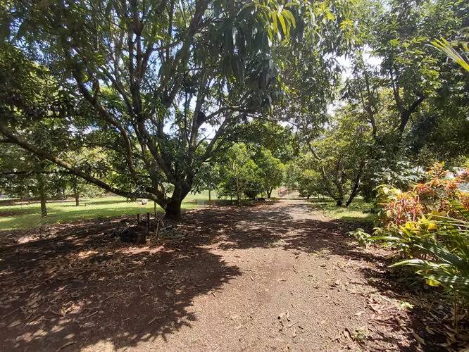 Casa de 2 cuartos con piscina, rancho y amplio terreno - A pocos minutos de la playa - Labrador, San Mateo, Alajuela - Imagen 8