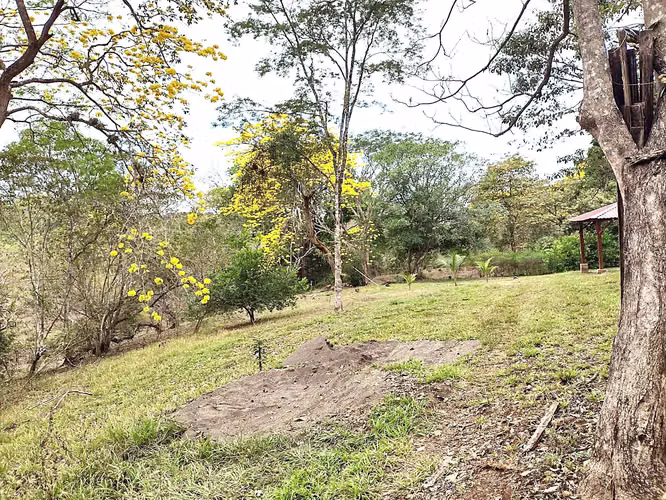 Venta finca OROTINA  Bajamar 70 MILL COL FINANCIAMIENTO  - Imagen 4