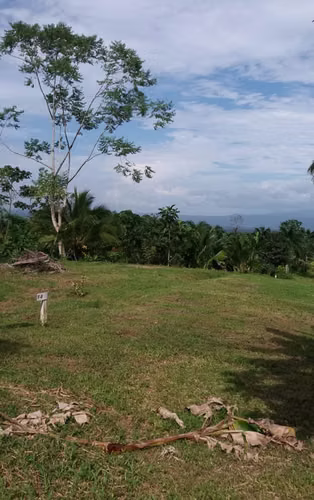 Lotes amplios rodeados de naturaleza cerca de La Fortuna - Imagen 5
