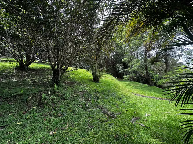  Exclusiva Propiedad en Venta | 20.367 m² Monte de La Cruz en San Rafael de Heredia-2 - Imagen 13