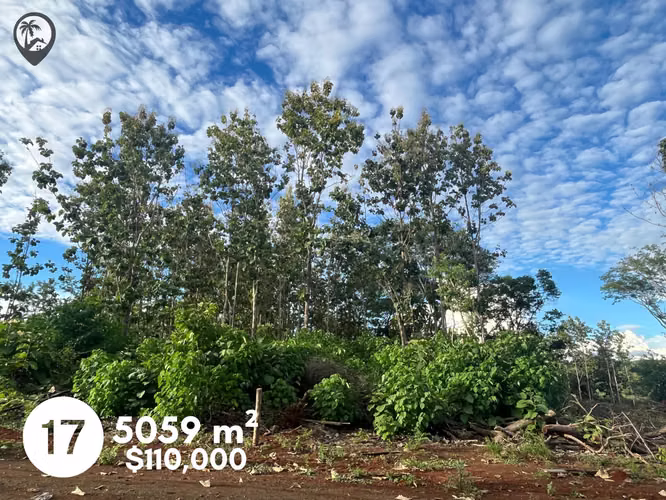 Lotes en venta cerca de Playa Venado y Lagarto - Imagen 16