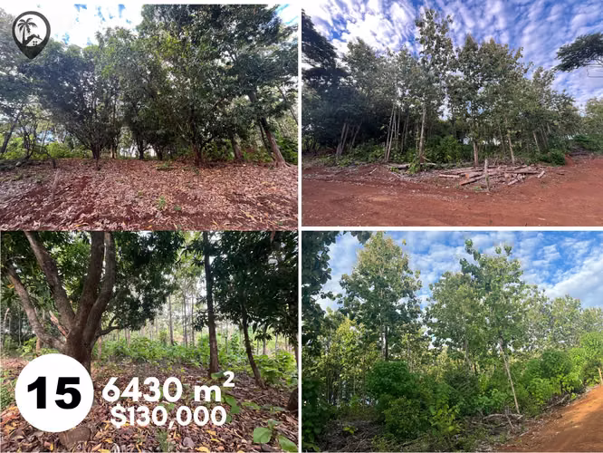Lotes en venta cerca de Playa Venado y Lagarto - Imagen 14