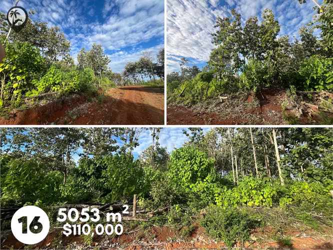 Lotes en venta cerca de Playa Venado y Lagarto - Imagen 15