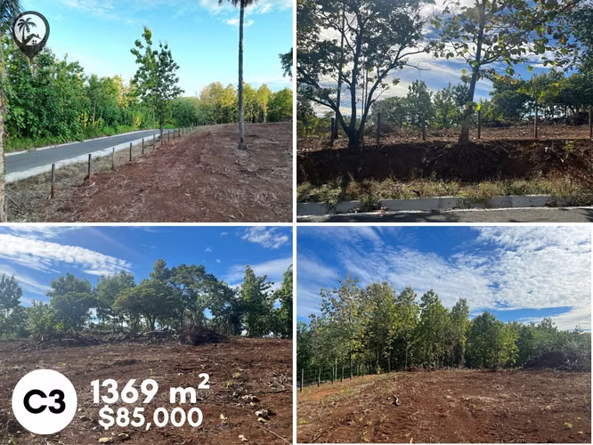 Lotes en venta cerca de Playa Venado y Lagarto - Imagen 5