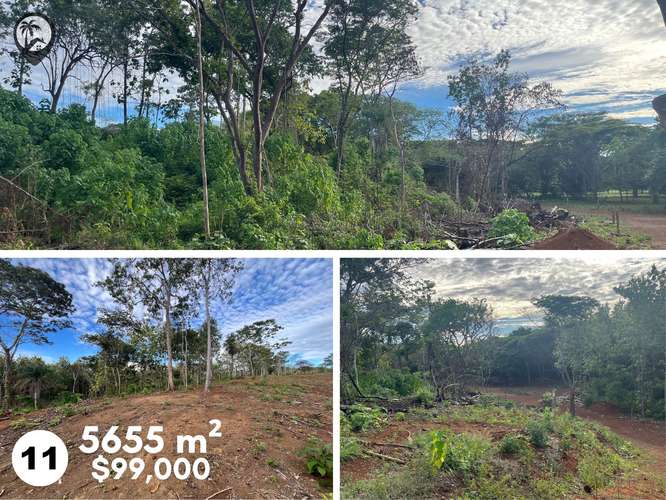 Parcelas agrícolas en venta a 5 minutos de Playa Venado - Imagen 9